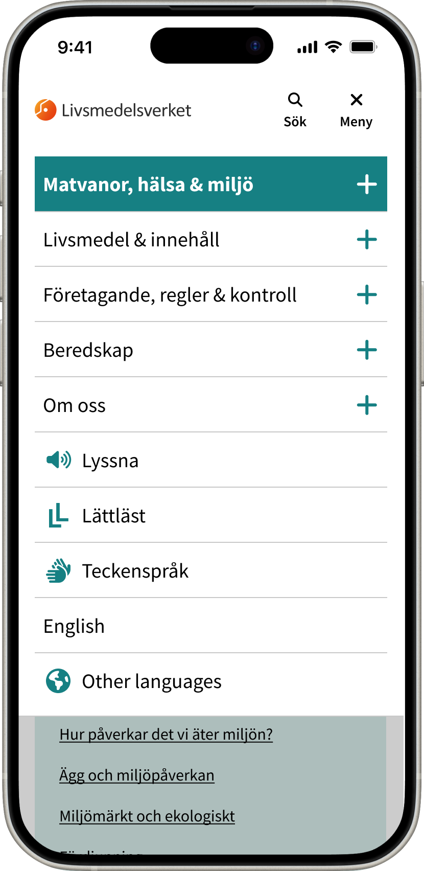 Image of menu in a small screen format.